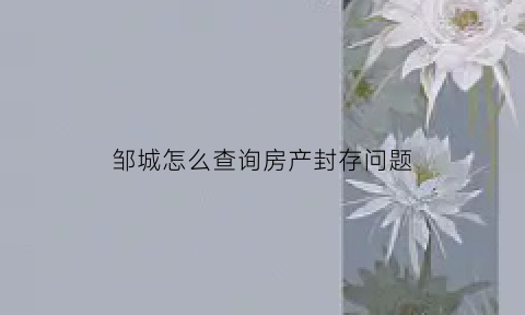 邹城怎么查询房产封存问题