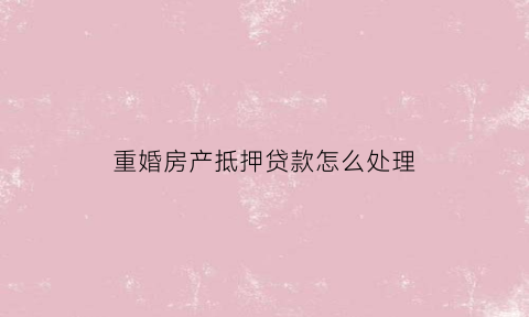 重婚房产抵押贷款怎么处理(重婚一起买的房子)