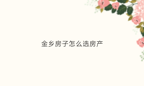 金乡房子怎么选房产(金乡买房哪里位置好)