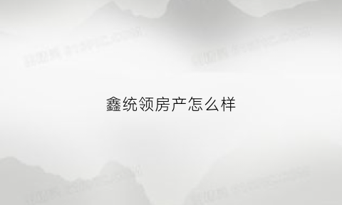 鑫统领房产怎么样