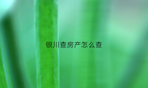 银川查房产怎么查(银川房产备案登记信息查询)