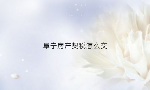 阜宁房产契税怎么交(阜宁房产信息网官网)
