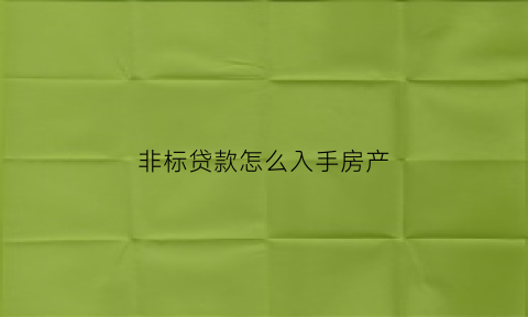 非标贷款怎么入手房产(非标贷款怎么入手房产证)