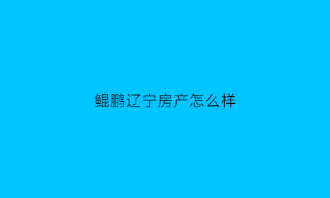 鲲鹏辽宁房产怎么样(辽宁鲲鹏建设集团有限公司董事长)