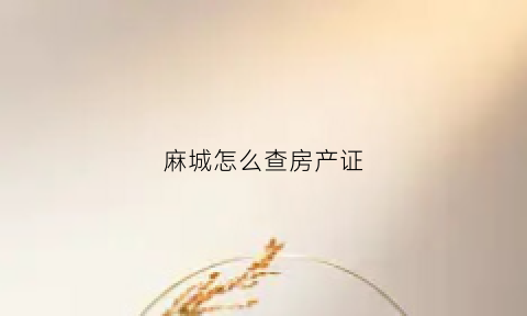 麻城怎么查房产证