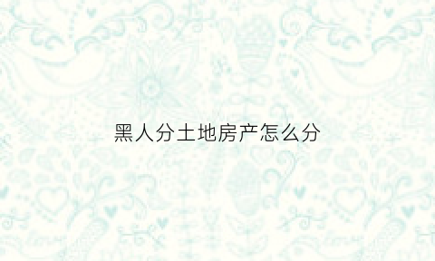 黑人分土地房产怎么分(黑人划分)