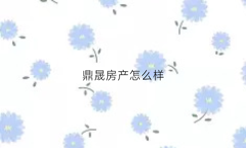 鼎晟房产怎么样