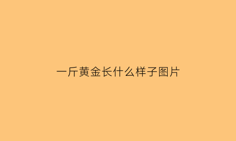 一斤黄金长什么样子图片