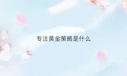 专注黄金策略是什么(专注黄金策略是什么意思)