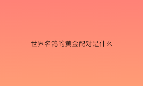 世界名鸽的黄金配对是什么