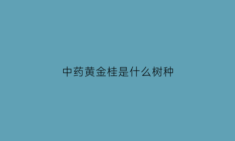 中药黄金桂是什么树种(黄金桂真的好吗)