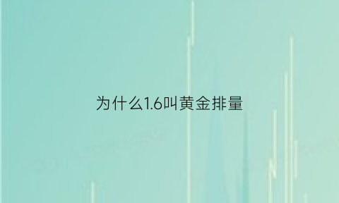 为什么1.6叫黄金排量