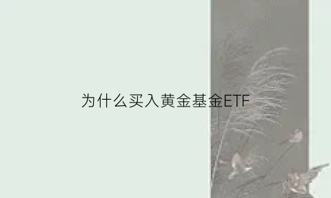 为什么买入黄金基金ETF(黄金etf什么情况下会涨)