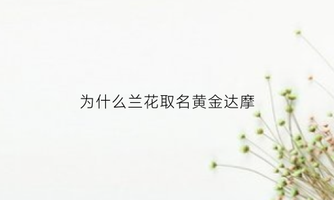 为什么兰花取名黄金达摩(为什么兰花取名黄金达摩不一样)