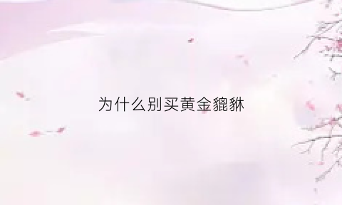 为什么别买黄金貔貅