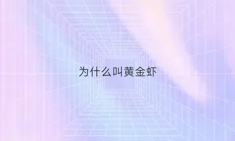 为什么叫黄金虾(为什么叫黄金虾和黄金虾)