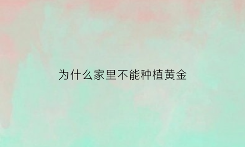 为什么家里不能种植黄金