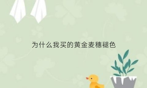 为什么我买的黄金麦穗褪色