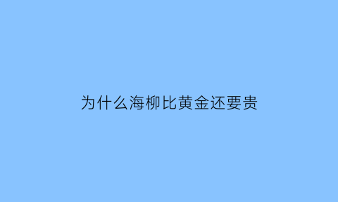 为什么海柳比黄金还要贵(海柳为什么像塑料)