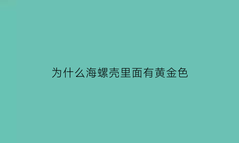 为什么海螺壳里面有黄金色(为什么海螺后面那段是黄)