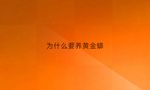 为什么要养黄金蟒(养黄金蟒需要什么证明)