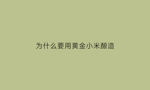 为什么要用黄金小米酿造(为什么黄金苗小米这么贵)