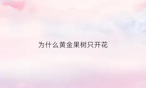 为什么黄金果树只开花