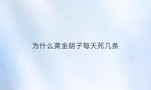 为什么黄金胡子每天死几条