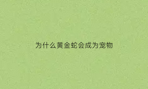 为什么黄金蛇会成为宠物(黄金蛇是什么样子的)