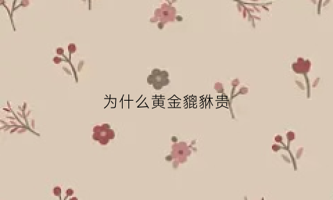 为什么黄金貔貅贵