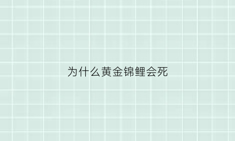 为什么黄金锦鲤会死(为什么黄金锦鲤比其它便宜)