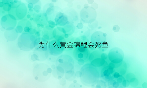 为什么黄金锦鲤会死鱼(黄金锦鲤为什么略磨贵)