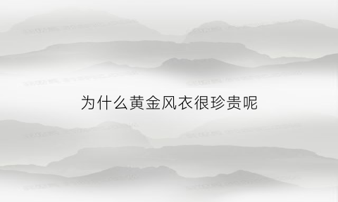 为什么黄金风衣很珍贵呢