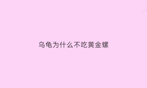 乌龟为什么不吃黄金螺(乌龟为什么不吃黄瓜)