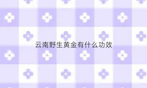 云南野生黄金有什么功效