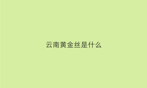 云南黄金丝是什么