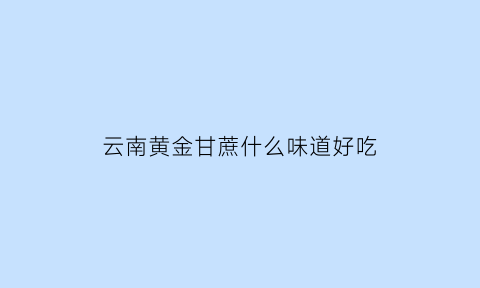 云南黄金甘蔗什么味道好吃(云南黄金甘蔗什么味道好吃呢)