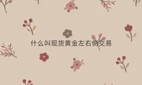 什么叫现货黄金左右侧交易