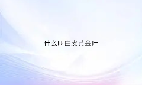 什么叫白皮黄金叶(白壳黄金叶)