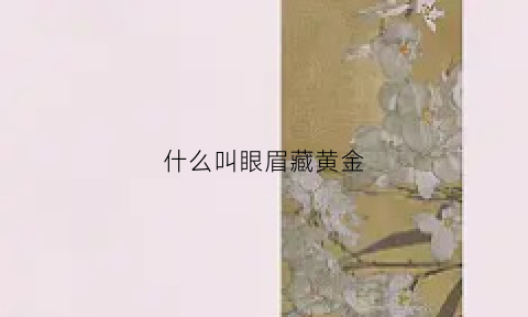 什么叫眼眉藏黄金(眉目藏珠什么含义)