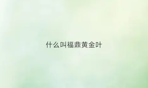 什么叫福鼎黄金叶