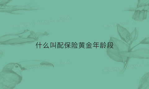 什么叫配保险黄金年龄段(保险配置顺序图)