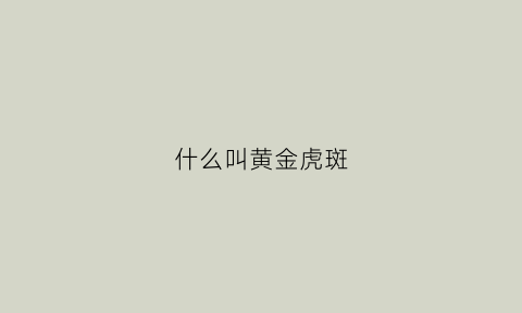 什么叫黄金虎斑(什么叫黄金虎斑狗)