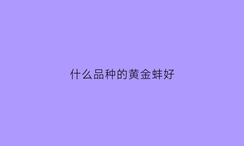 什么品种的黄金蚌好