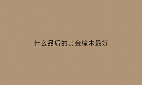 什么品质的黄金樟木最好(黄金樟木是什么样子的)