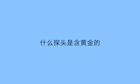 什么探头是含黄金的(黄金探测器哪个牌子好)