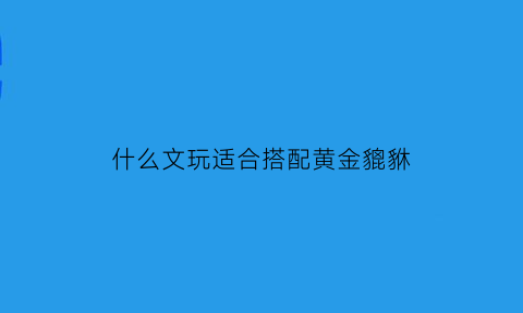 什么文玩适合搭配黄金貔貅