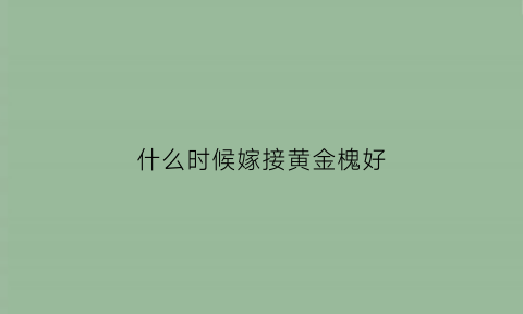 什么时候嫁接黄金槐好(黄金槐什么时候修剪)