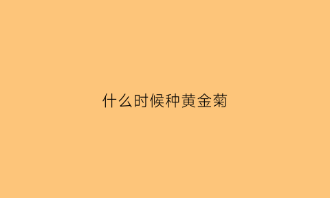 什么时候种黄金菊(黄金菊的种子什么时候成熟)