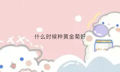 什么时候种黄金菊好